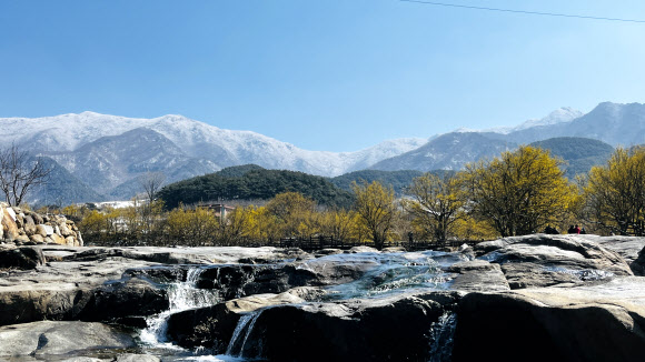 춘분을 하루 앞둔 19일 오전 전남 구례군 산동면 일대에 산수유꽃이 활짝 핀 가운데 마을 뒤편 지리산은 하얀 눈으로 뒤덮여 대조를 이루고 있다.2025.3.19. 지리산국립공원 전남사무소 제공