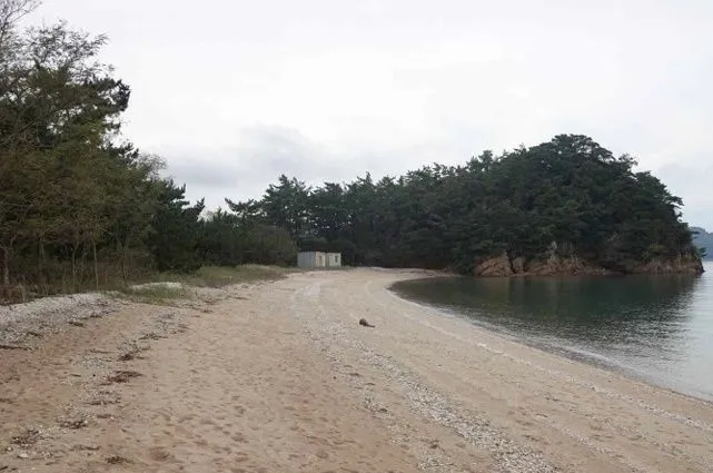 주민들이 유해를 목격했다는 고파도 모래사장 전경. 국방부 제공