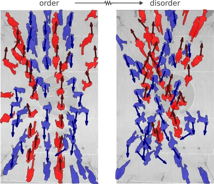 과학자들은 복잡한 거리에서 한 사람이 약 13도 각도로 걷기 시작하면 비교적 규칙적인 움직임에서 무질서한 상태로 변하게 된다는 사실을 밝혀냈다.

미국 매사추세츠공과대(MIT) 제공