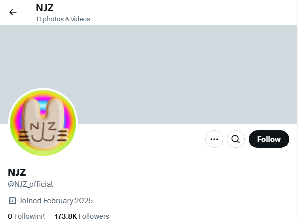 ‘NJZ’ 엑스(X) 캡처
