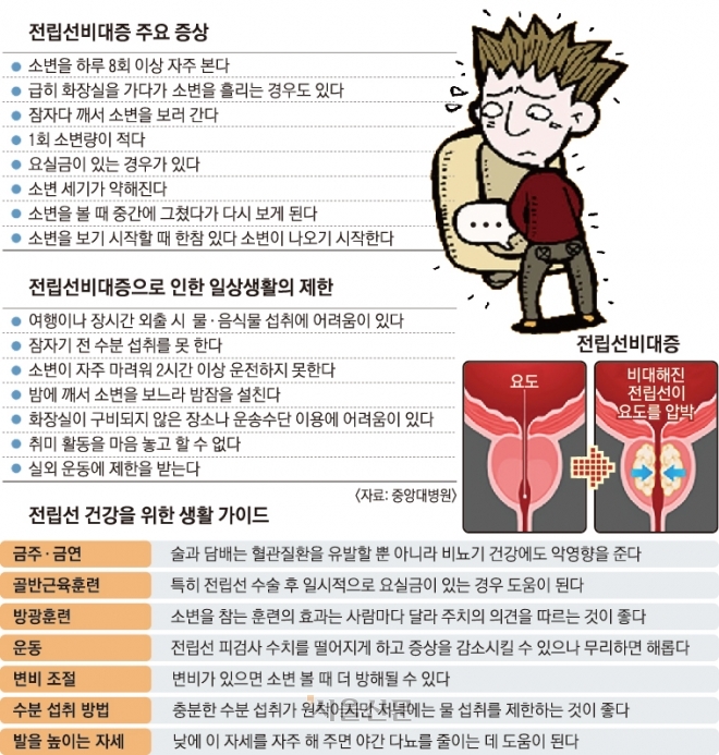 서울신문 DB