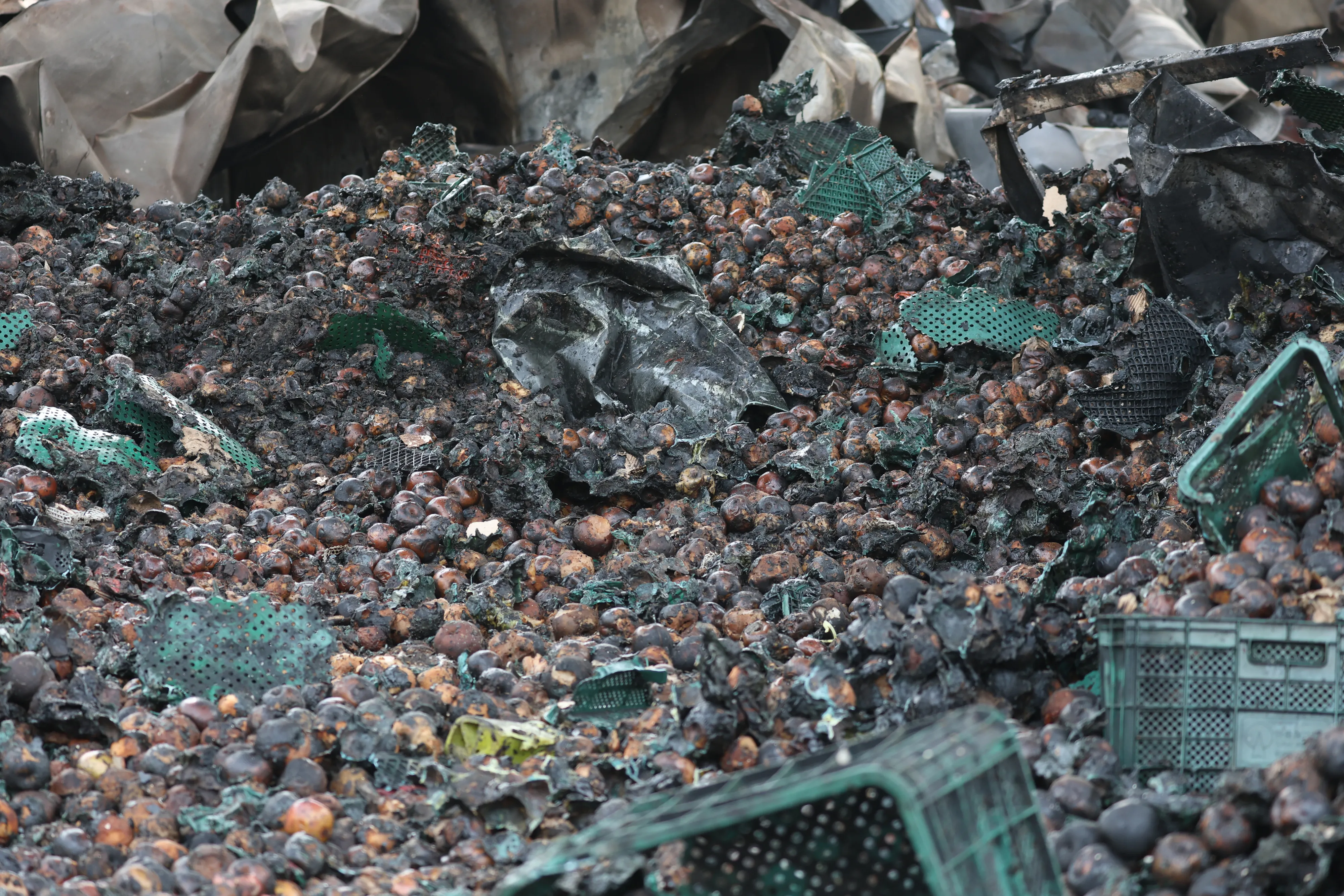 경북 의성 산불이 나흘째 이어지던 지난달 25일 오후 의성읍 중리리의 한 사과 창고가 산불로 불에 타 내려앉아 있다. 
의성 뉴스1