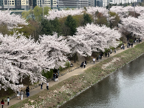 봄을 즐기나 봄