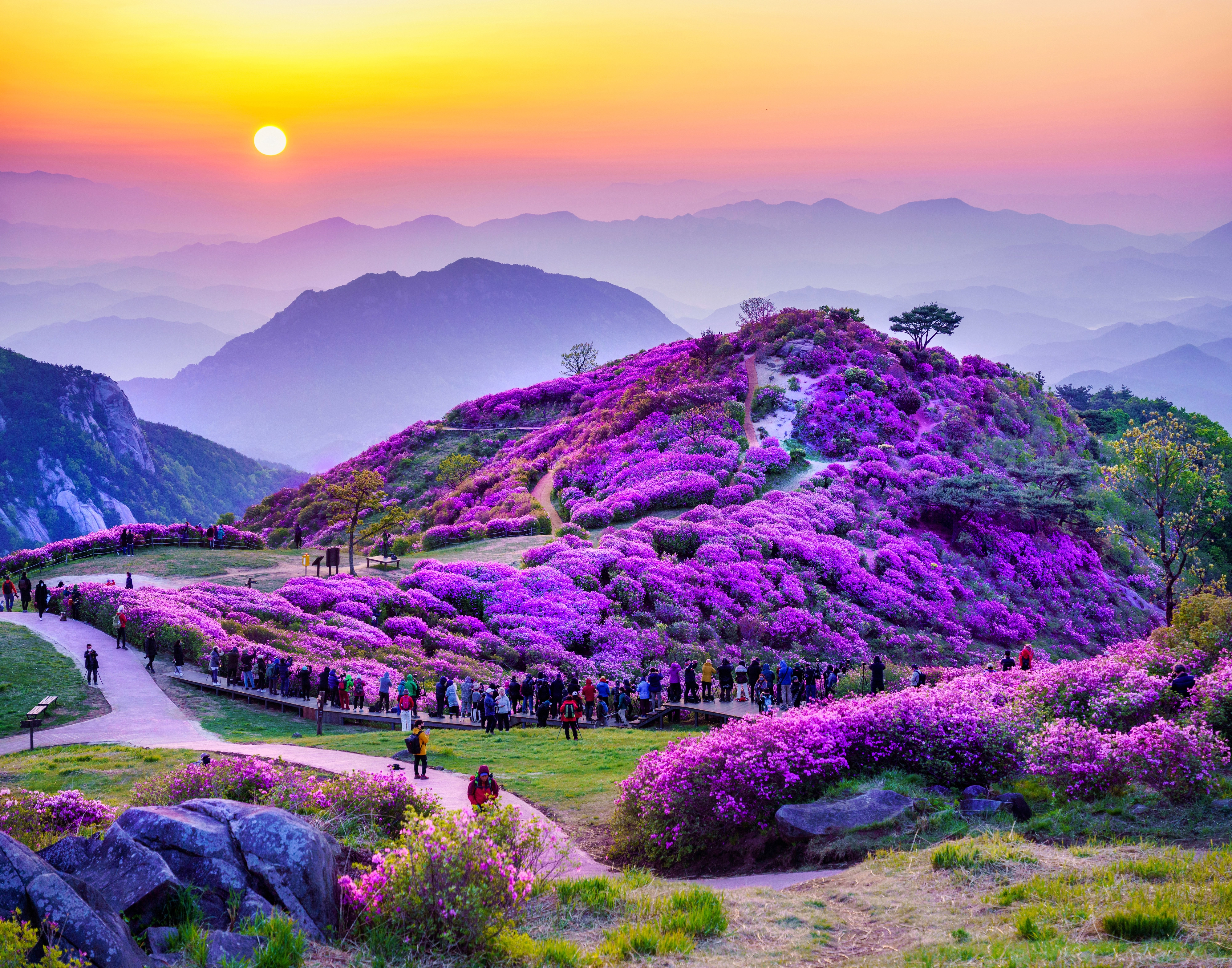 철쭉제가 열리는 합천군 황매산군립공원 모습. 군은 남부권역을 생태와 문화, 반려동물까지 아우르는 새로운 관광지로 변화시킬 예정이다.
합천군 제공