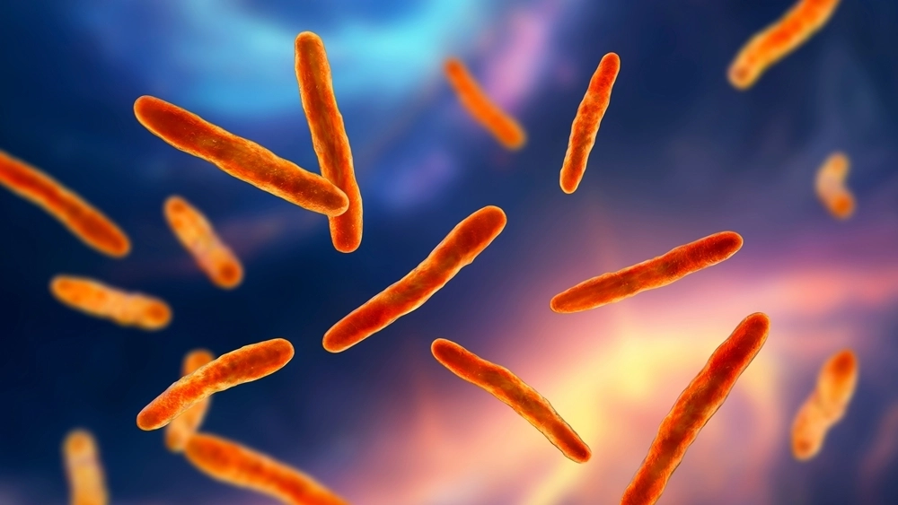 현미경으로 본 소 결핵균(Mycobacterium bovis) 관련 일러스트. 123rf 자료사진