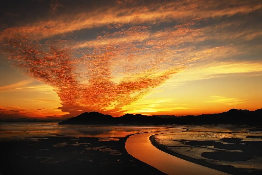 순천만습지 노을