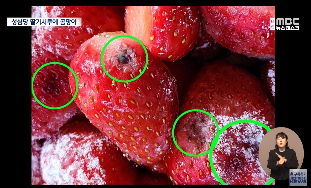 성심당에서 판매된 ‘딸기시루’에서 발견된 곰팡이. 대전 MBC 뉴스 캡처