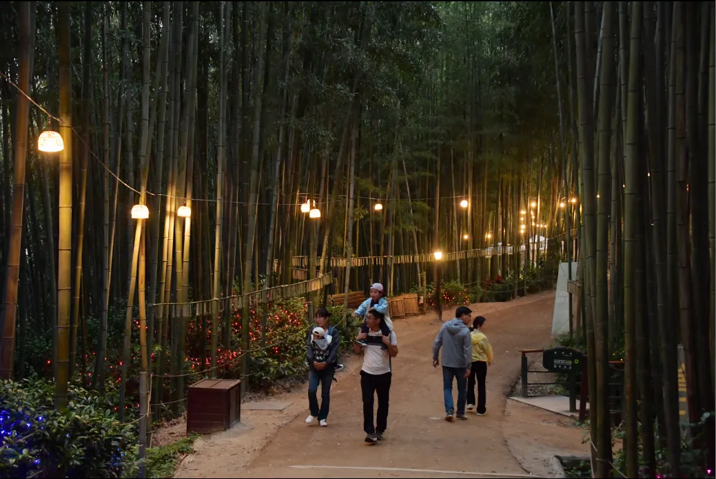 2024년 5월 전남 담양군 대나무 축제장 죽녹원에서 관광객들이 야간 투어를 즐기고 있다.  (담양군 제공)