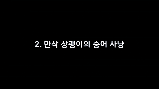 작년 1월부터 올해 4월까지 한려해상국립공원 근처 바다에서 포착된 만삭의 상괭이. 2025.5.1 국립공원공단 제공
