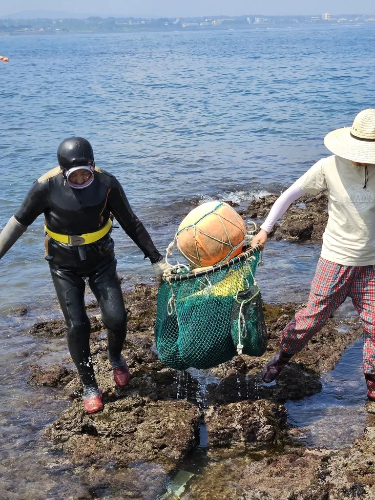 제주 해녀들이 해산물을 채취해 끌어 올리는 모습

미국 유타대 제공
