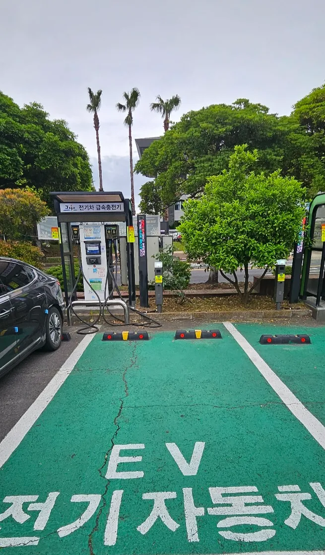 제주도청 전기자동차 주차코너. 제주 강동삼 기자