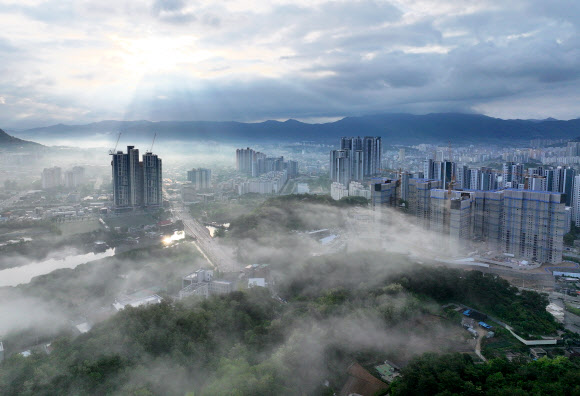 여름 기운이 들기 시작한다는 절기 소만(小滿)인 21일 강원 춘천 도심에 안개가 내려앉아 있다. 강원지방기상청은 이날 오전까지 내륙과 산지를 중심으로 짙은 안개가 끼는 곳이 있을 것으로 예보했다. 2025.5.21. 연합뉴스