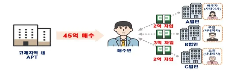 서울 지역 주택 이상거래 점검에서 적발된 법인자금 유용 의심 사례. (자료=국토교통부)