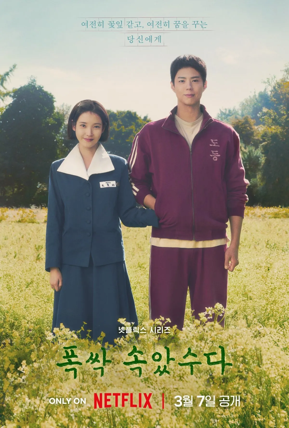 넷플릭스 오리지널 시리즈 ‘폭싹 속았수다’가 뒤늦게 스태프 갑질 의혹에 휘말렸다. 넷플릭스 제공