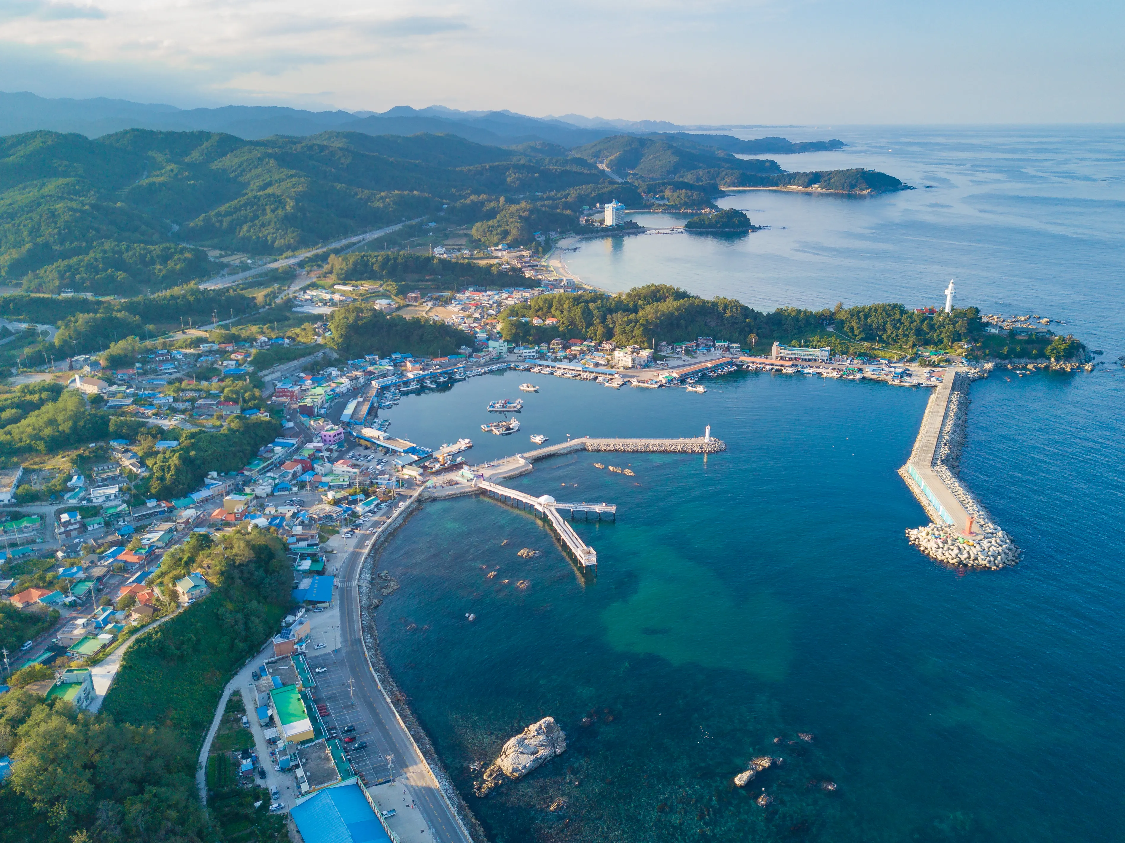강원 고성 저도 대문어축제가 7~8일 대진항 일원에서 열린다. 사진은 대진항 전경. 고성군 제공
