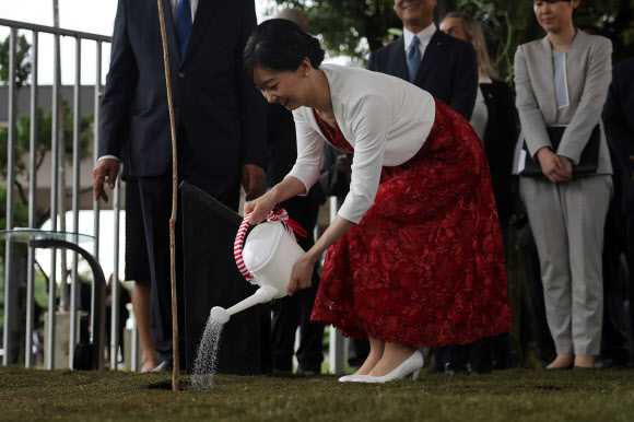 일본의 카코 공주가 8일(현지시간) 브라질 파라나 주 마링가에 있는 마링가 문화체육협회를 방문해 공주를 위해 심은 기념수에 물을 주고 있다. 로이터 연합뉴스