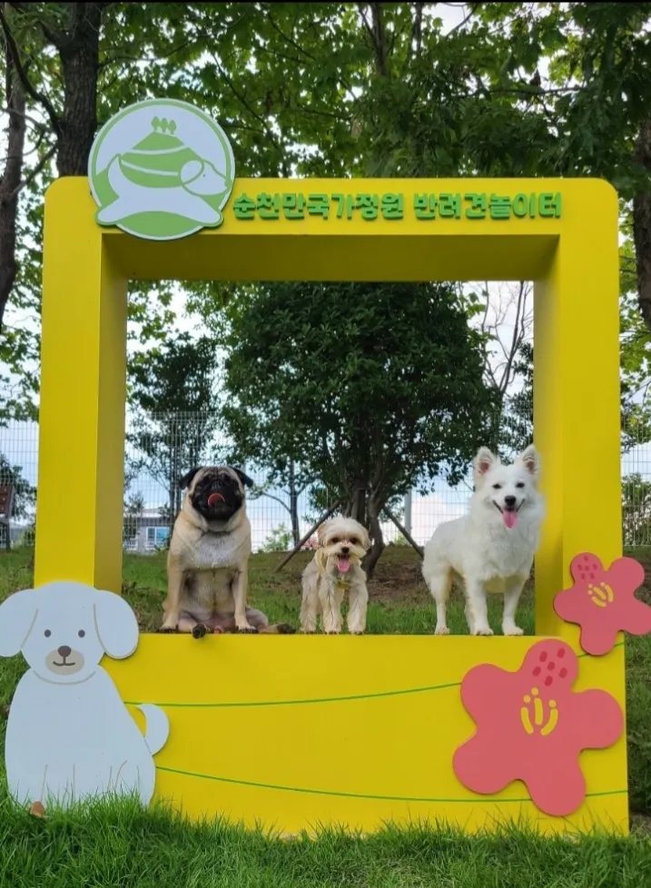반려견 놀이터