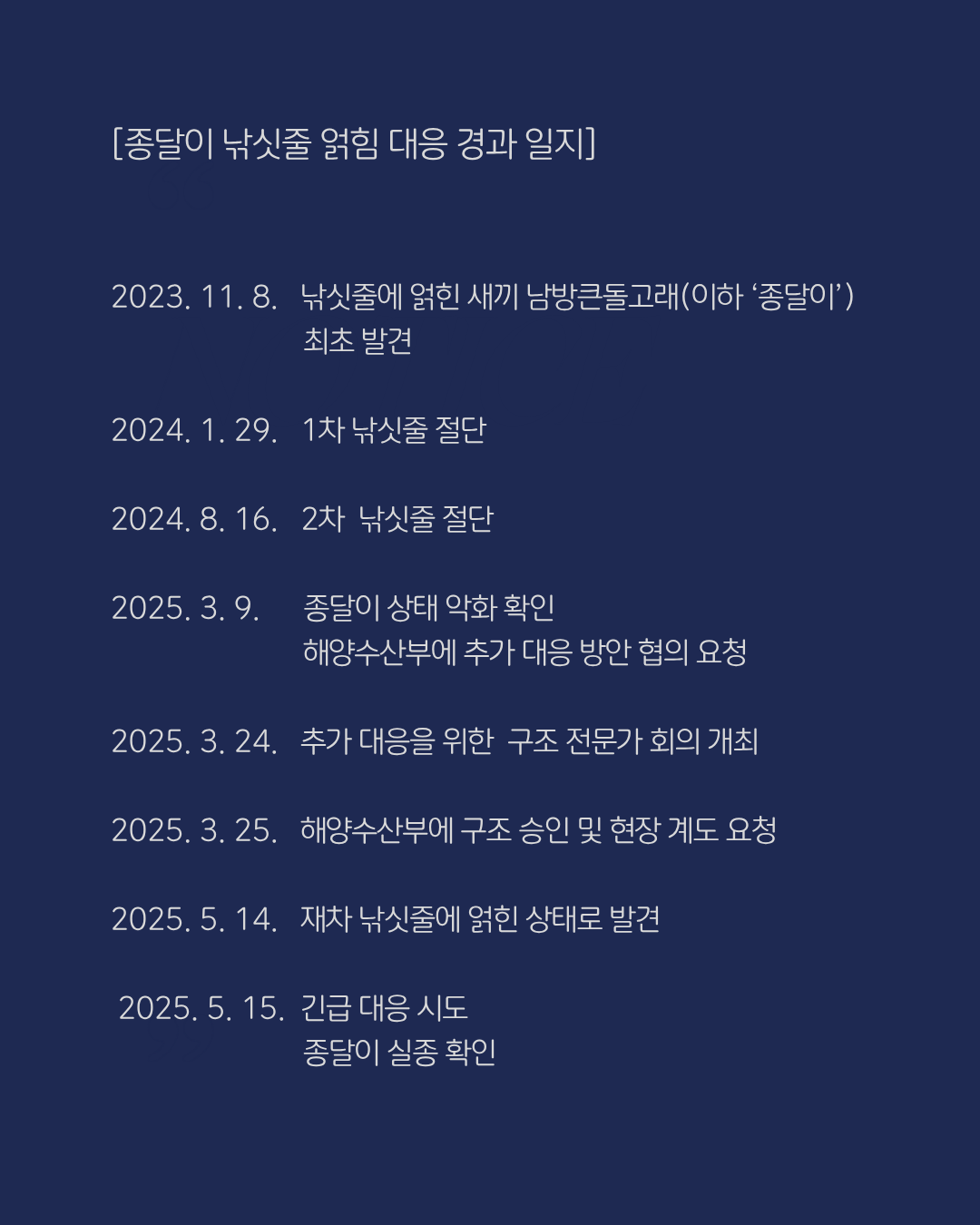 핫핑크돌핀스 제공