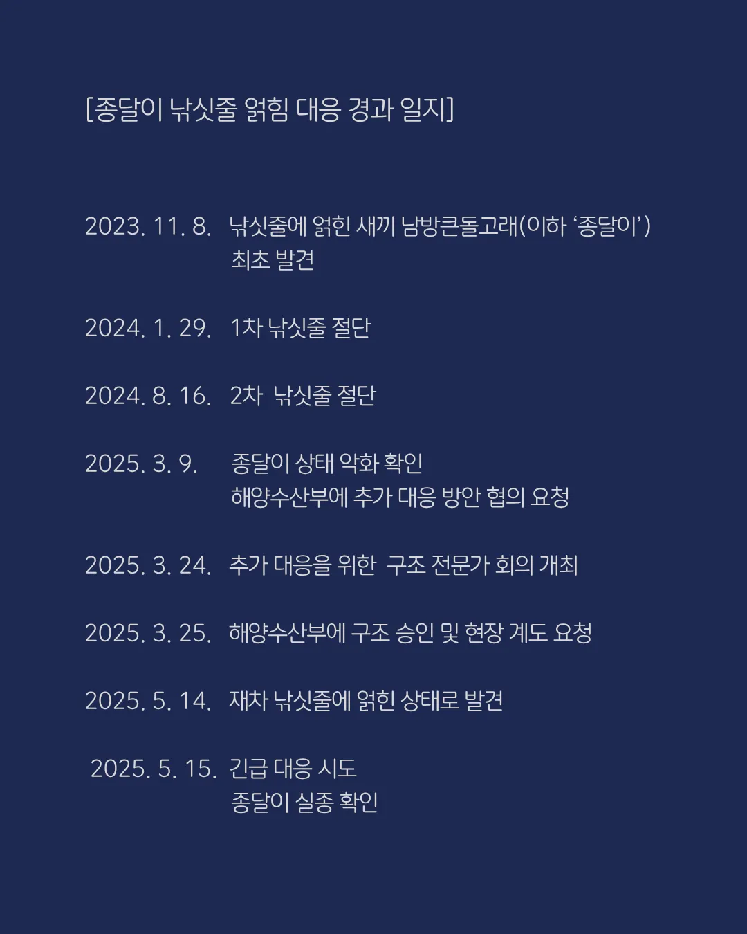 핫핑크돌핀스 제공