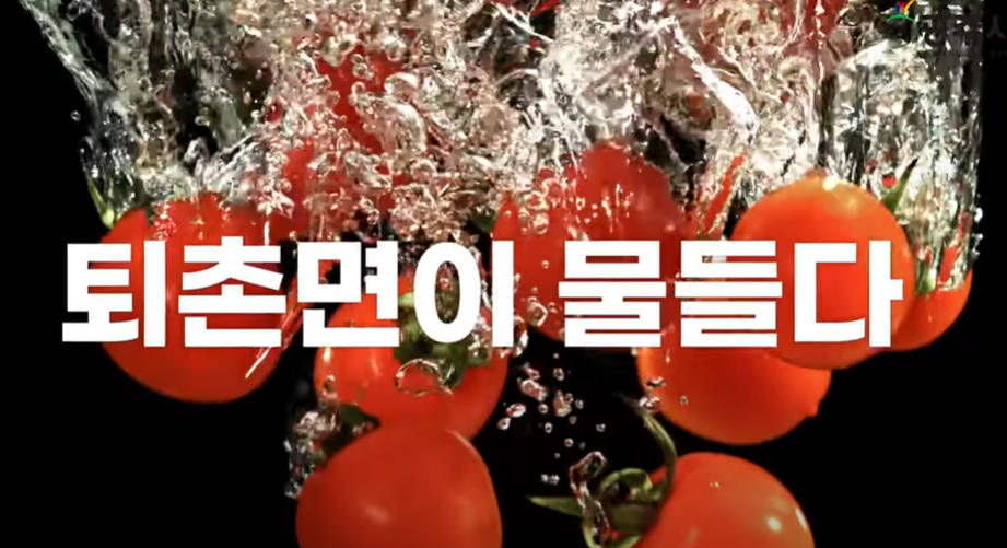 ‘퇴촌 토마토 거리 축제’가 오는 20일 개최된다. 유튜브 채널 ‘광주시’ 캡처