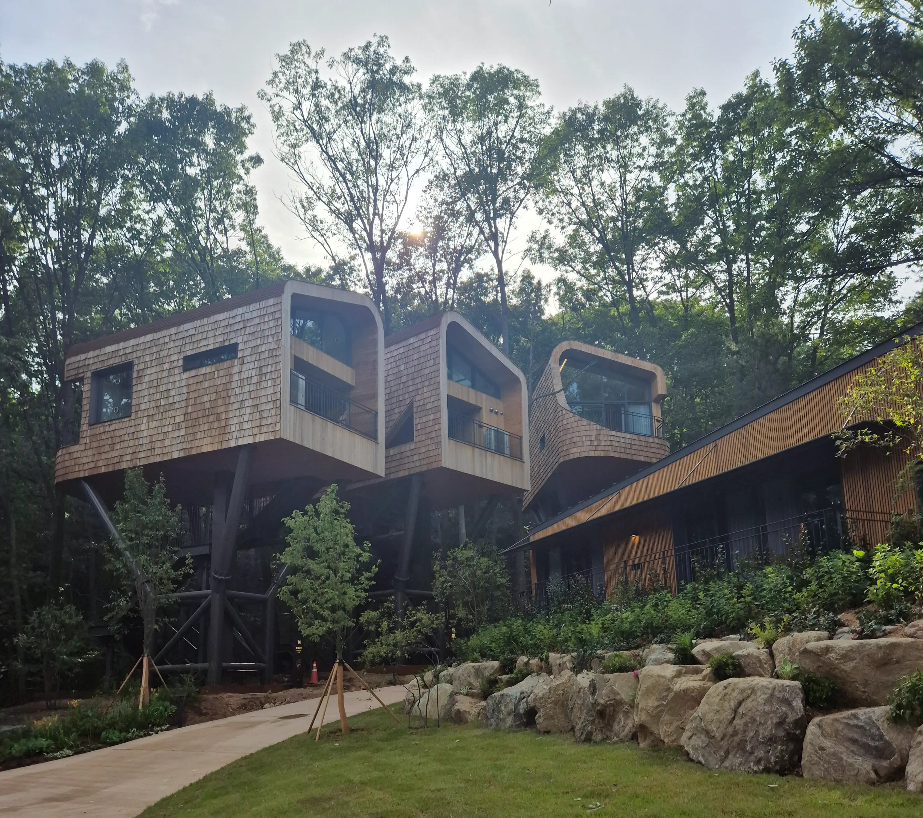 수락휴의 14m 높이에 설치된 트리하우스. 

서유미 기자