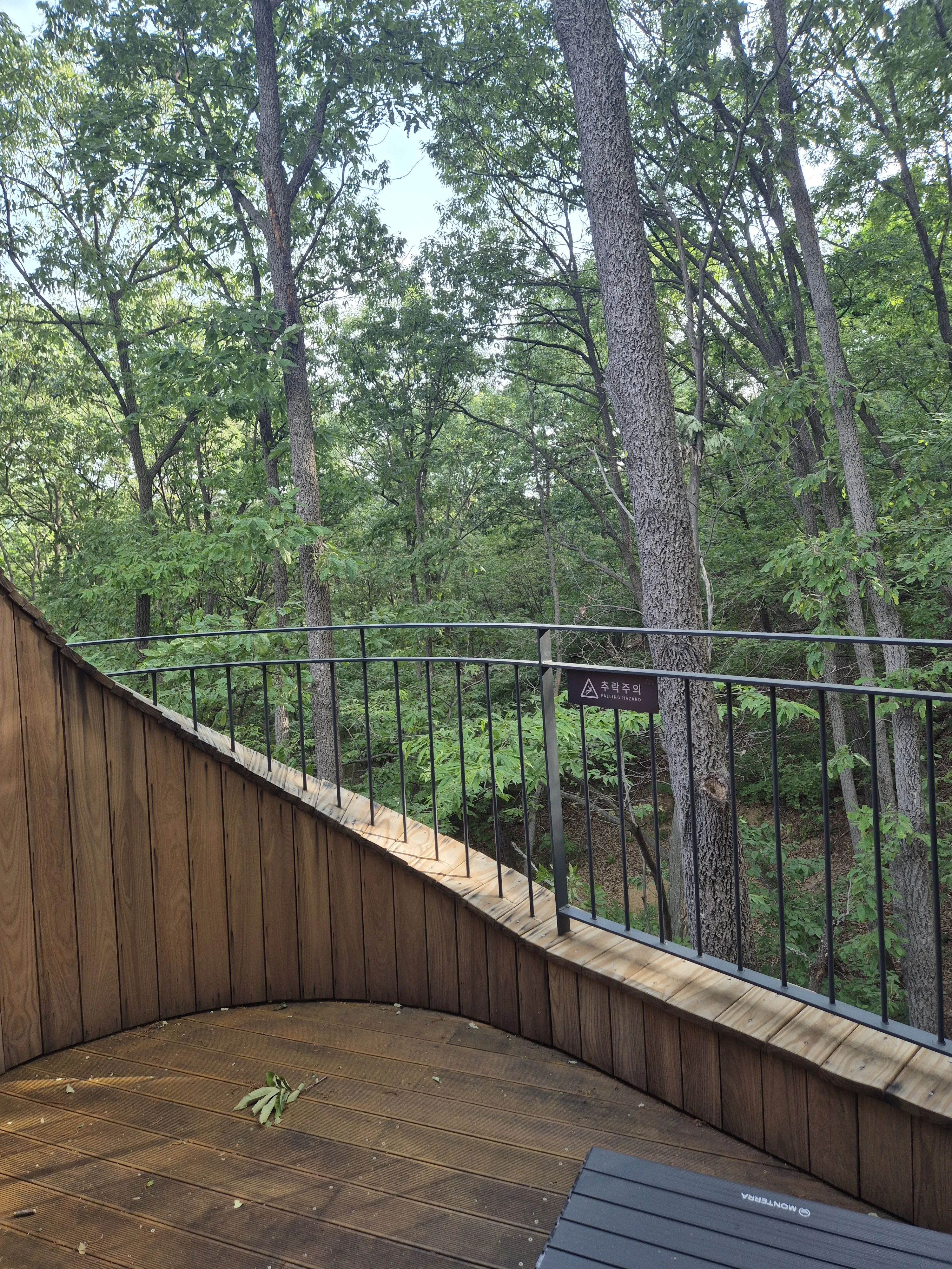 수락휴 트리하우스의 베란다에서 바라본 숲 풍경. 
서유미 기자