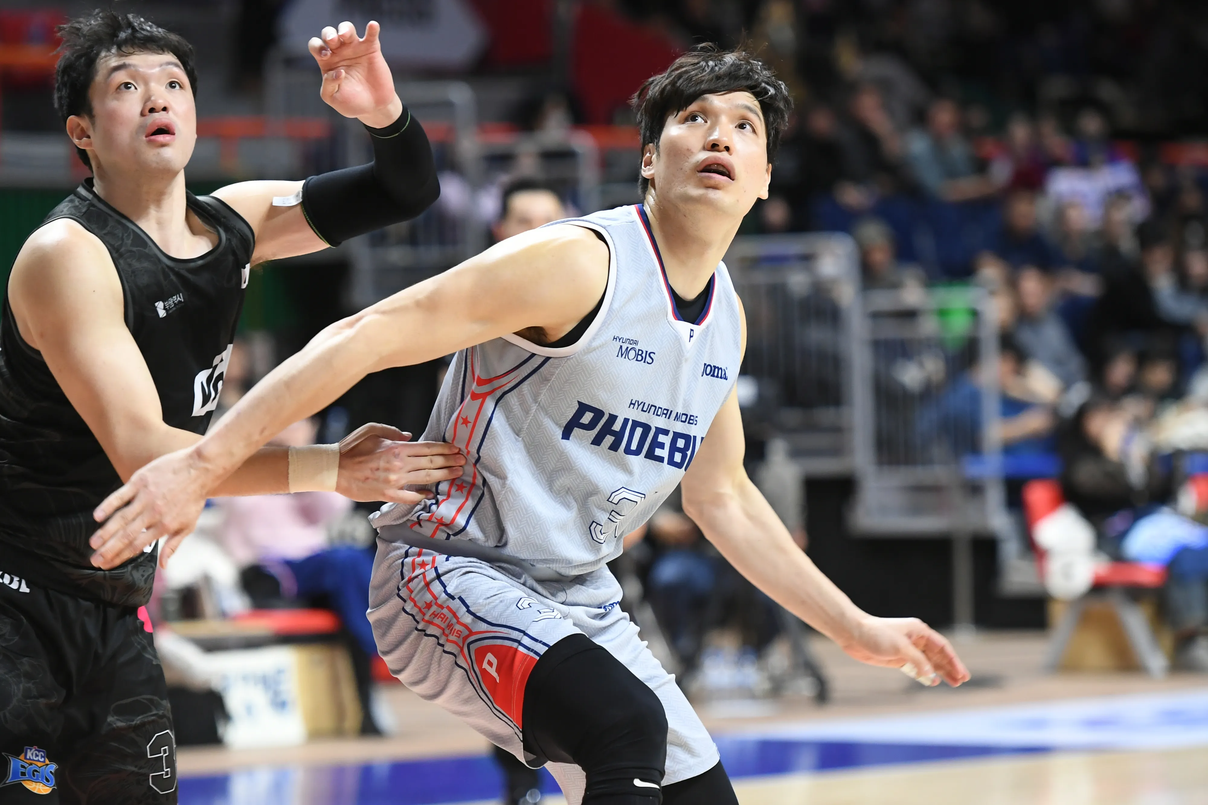울산 현대모비스 소속 장재석이 지난해 12월 27일 부산 사직체육관에서 열린 2024~25 프로농구 정규시즌 부산 KCC와의 원정 경기에서 이승현과 경합하고 있다. KBL 제공