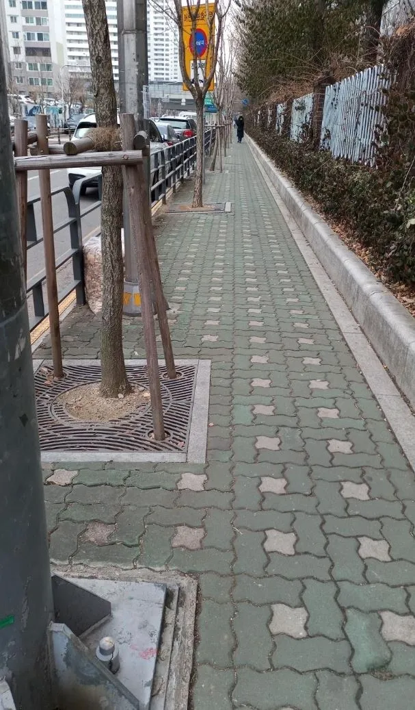 광남초등학교 앞 통학로 모습. 인도의 절반 가까이 차지한 가로수로 인해 학생 1명이 간신히 통행할 수 있는 좁은 보행공간만 확보된 상태다.