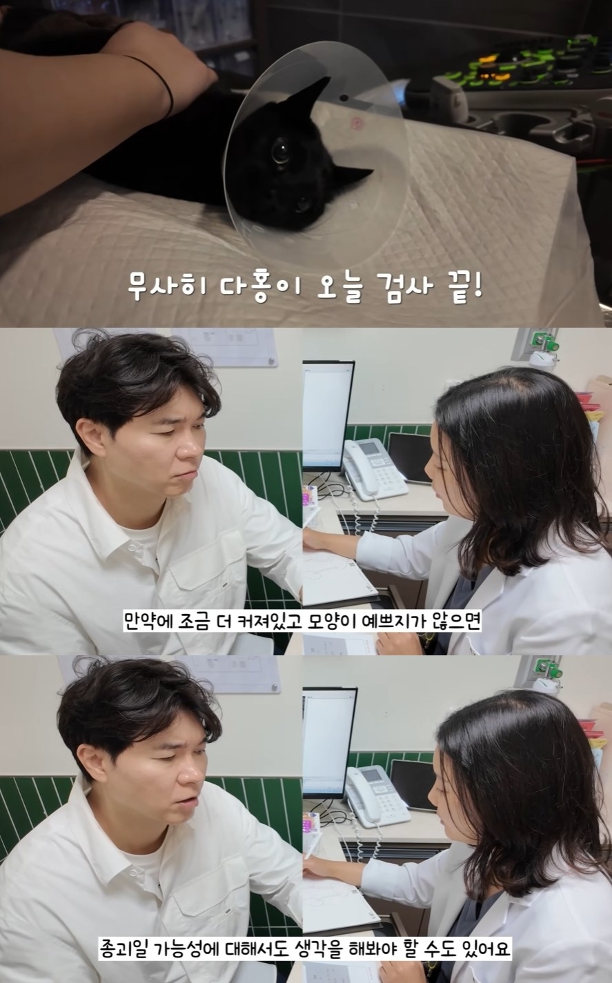 방송인 박수홍이 반려묘 다홍이의 건강검진 결과를 듣고 걱정스러운 마음을 내비쳤다. 박수홍 유튜브 채널 ‘박수홍 행복해다홍’