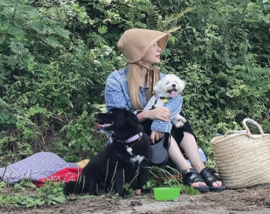 브라운아이드걸스 제아가 제주살이를 마치고 새 출발 한다. 제아 인스타그램 캡처