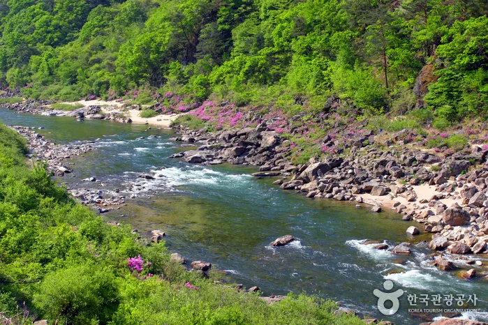 내린천 계곡 (사진-한국관광공사)
