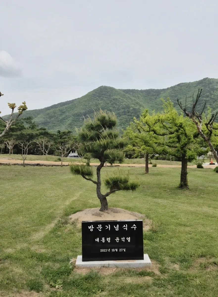 2023년 10월 병산서원에 설치됐던 윤석열 전 대통령 방문기념식수 비석. 연합뉴스