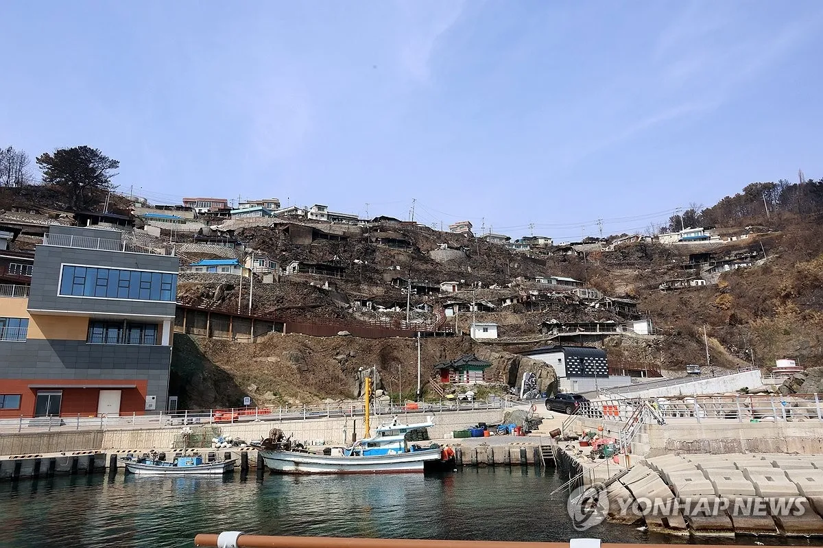 경북 영덕군 영덕읍 석리 따개비마을이 지난 3월 번진 산불로 여기저기 타 처참한 모습을 보이고 있다. 연합뉴스