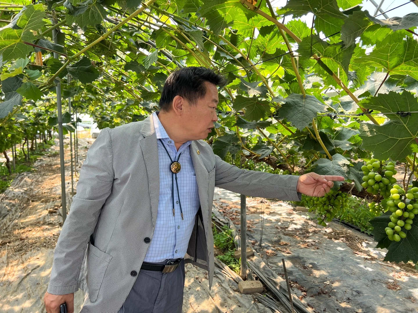 방성환 의원이 농가를 방문해 작황 현황과 이상기후로 인한 폭염ㆍ폭설 피해 실태를 점검하고 있다. (사진=경기도의회)