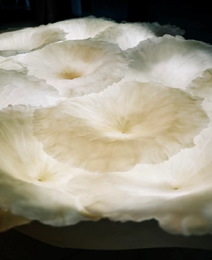 Mona OREN_OEuvre de Mona Oren inspirée des feuilles de lotus
청주공예비엔날레조직위원회( Lucille Pellerin) 제공