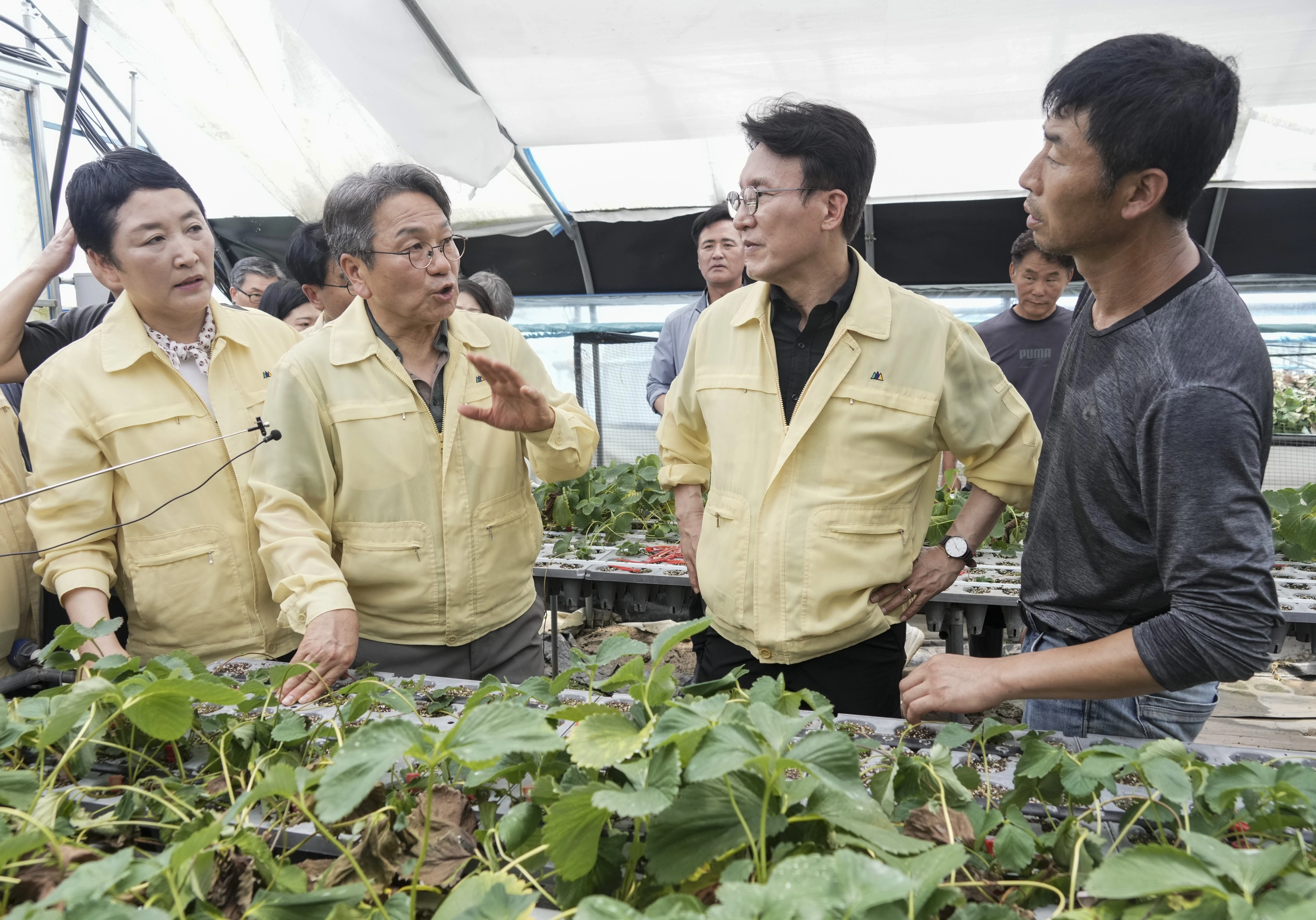 강기정 광주시장이 20일 오전 김민석 국무총리와 함께 폭우 침수 피해 지역인 북구 용강동 하신마을 딸기재배 시설하우스를 살펴보고 있다. 광주광역시 제공