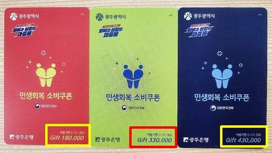 광주시가 지급한 민생회복 소비쿠폰 3종 선불카드. 뉴스1