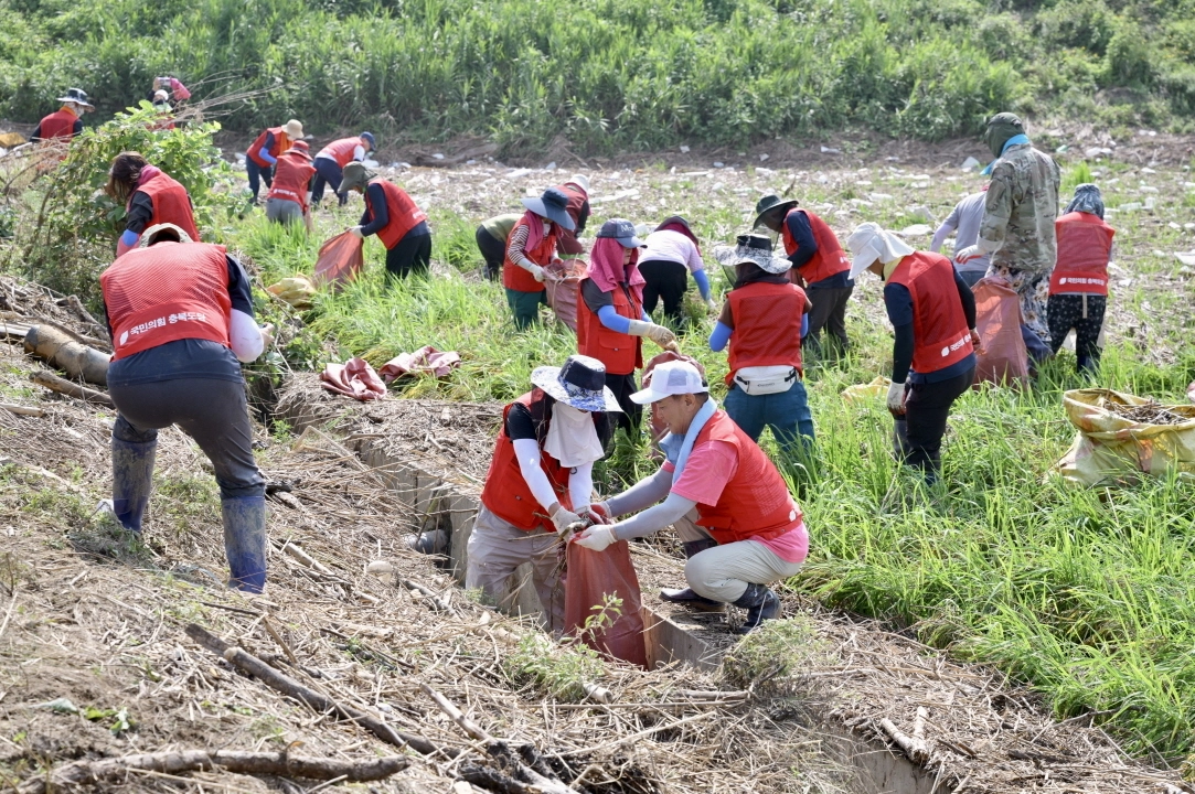 충남 공주시에서 자원봉사자들이 수해 복구 작업을 돕고 있다. 공주시 제공