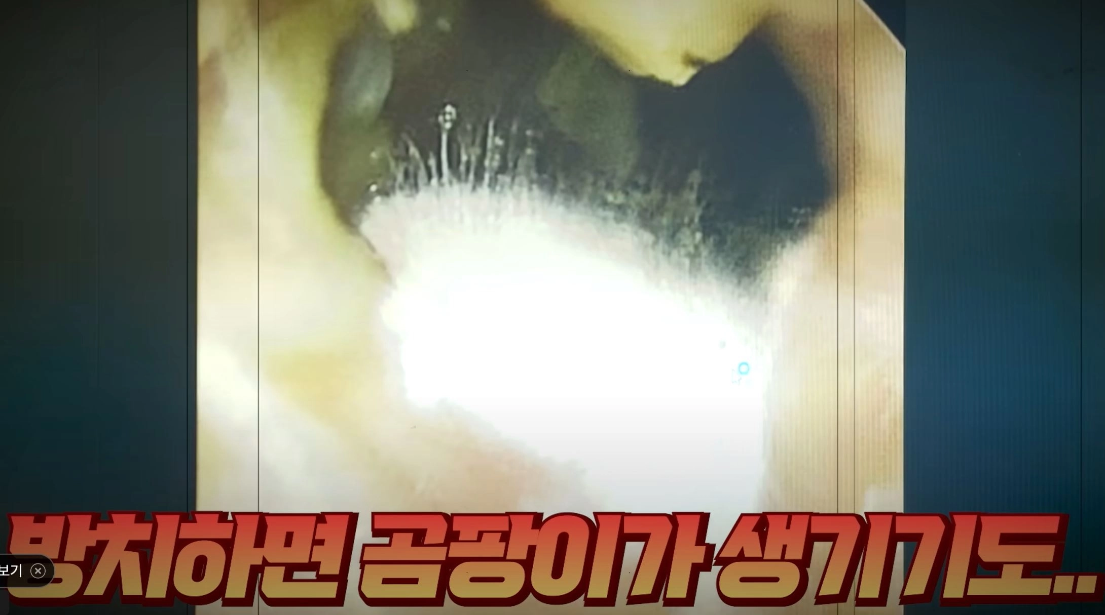 유튜브 ‘지식인사이드’ 캡처