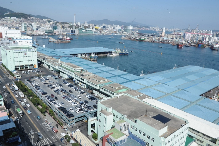 10년 넘게 끌어온 국내 최대 산지 어시장인 부산공동어시장 현대화사업이 시공사를 선정하면서 본격화됐지만 부산시와 어시장 간 갈등으로 지연되는 것 아니냐는 우려가 나온다. 사진은 공동어시장 전경.
부산공동어시장 제공