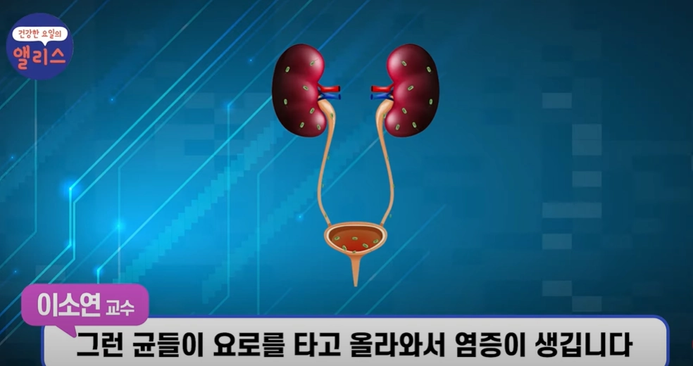 유튜브 채널 ‘건강한 앨리스’ 캡처