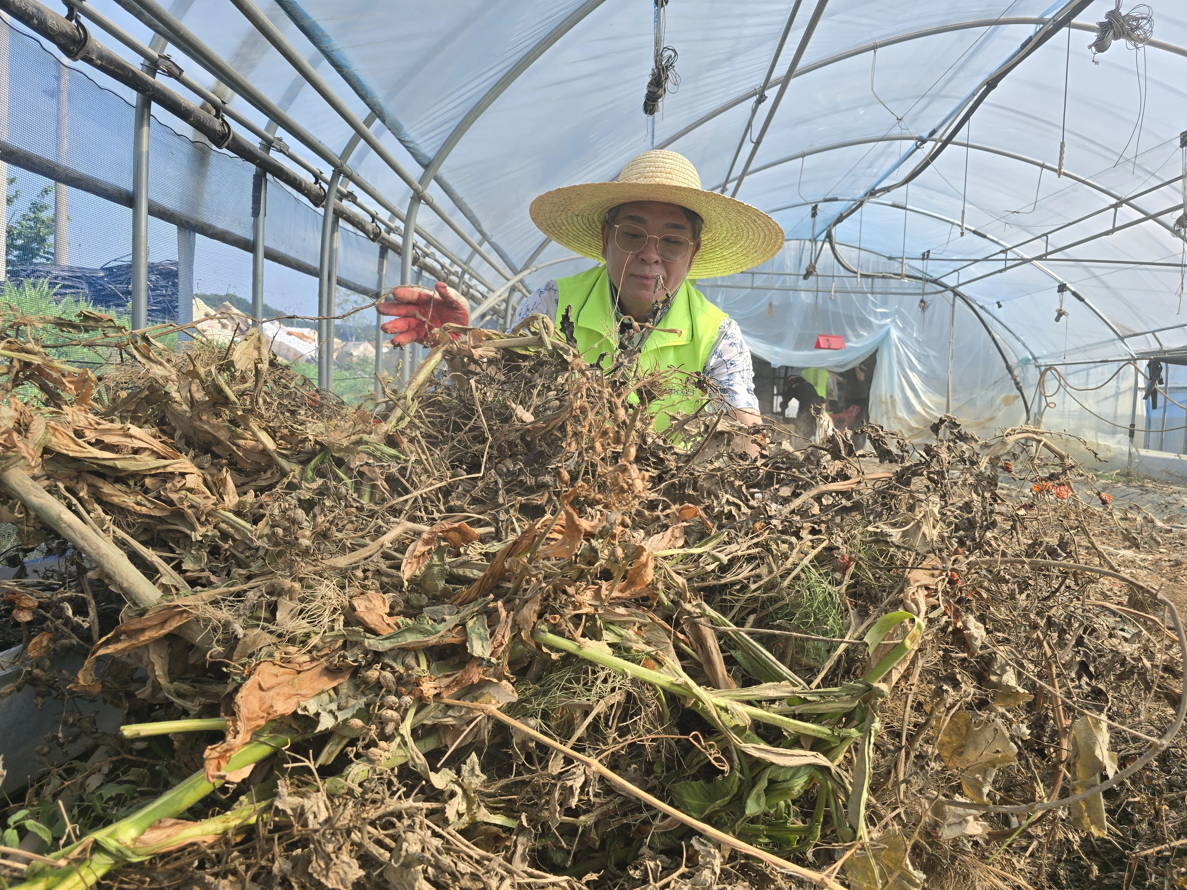조덕현 동천안농협 조합장이 조합원 등과 함께 천안 북면 수해 피해 농가에서 복구작업을 돕고 있다. 농협 천안시지부 제공