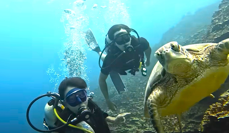 유튜브 채널 ‘괌정부관광청한국사무소’ 캡처