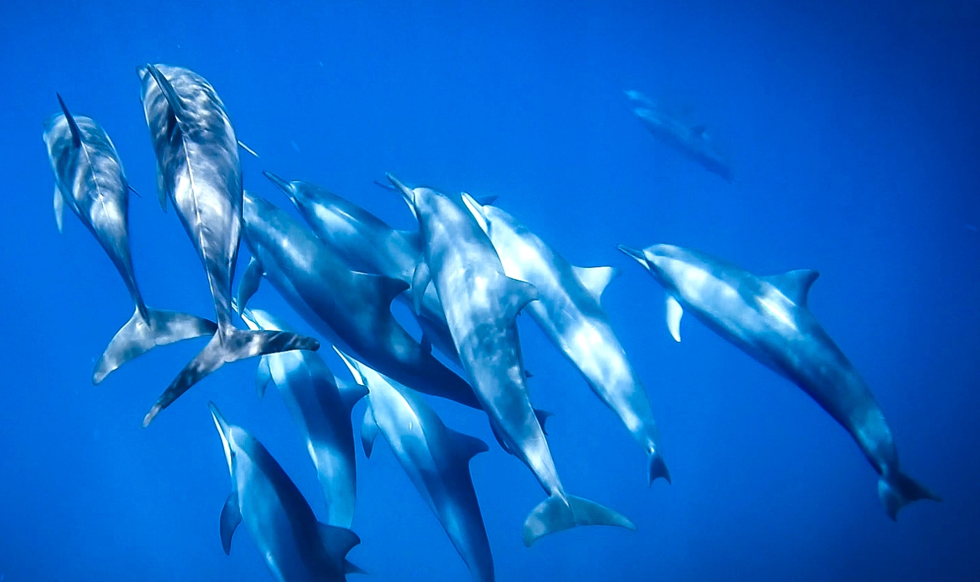 괌정부관광청 제공