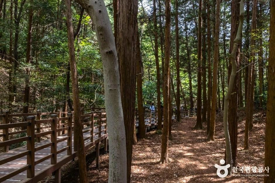 성지곡수원지. 한국관광공사 제공