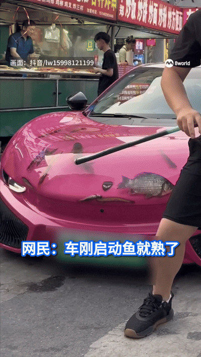 15일(현지시간) 홍콩 사우스차이나모닝포스트(SCMP)에 따르면 최근 중국 랴오닝성 선양시에서 보닛 안에 물고기를 채운 자동차가 포착됐다. 2025.7.15 더우인 화면