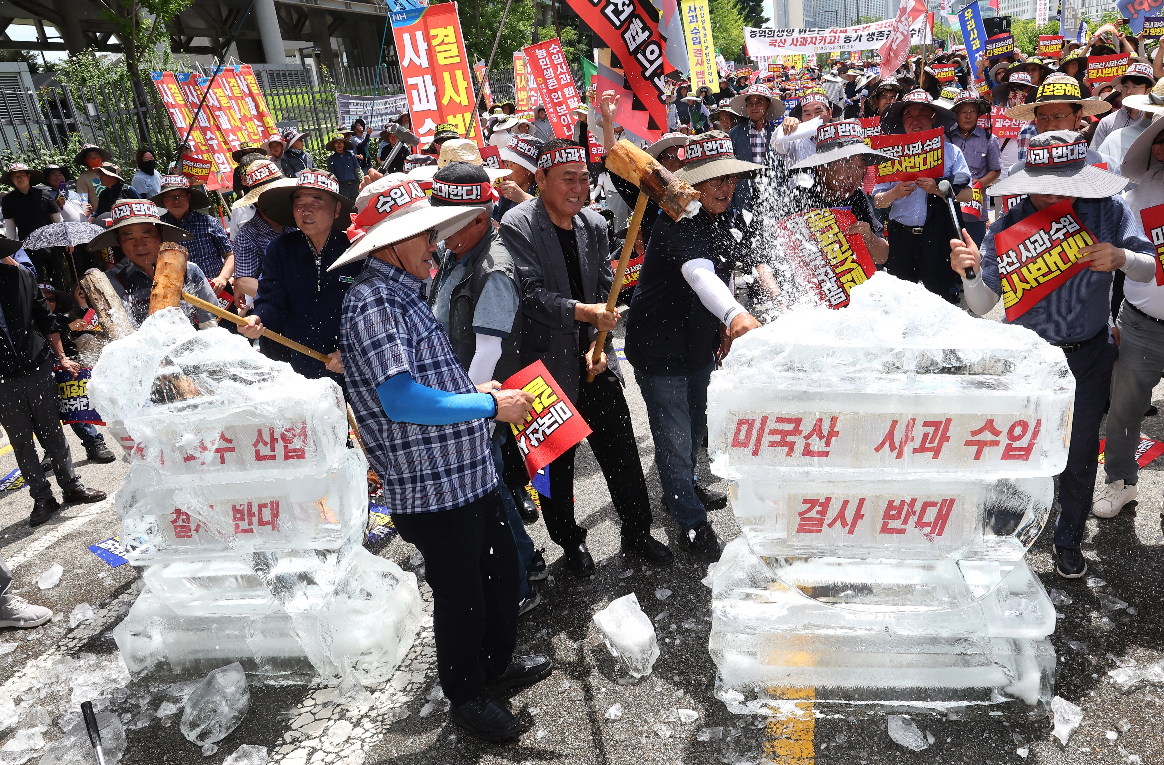 ‘미국산 사과 수입 결사 반대’ 얼음 깨기  한국사과연합회, 한국과수농협연합회 등 소속 농민들이 31일 정부세종청사 산업통상자원부 앞에서 열린 ‘미국산 사과 수입 반대 국민대회’에서 미국산 사과 수입을 결사 반대한다는 얼음 깨기 퍼포먼스를 펼치고 있다. 2025.7.31. 연합뉴스