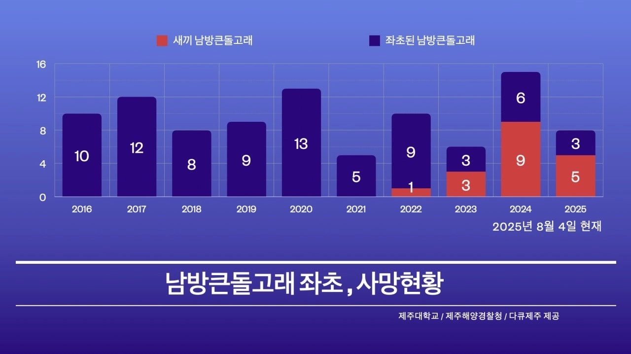 다큐제주와 제주대학교 고래·해양생물보전연구센터 제공
