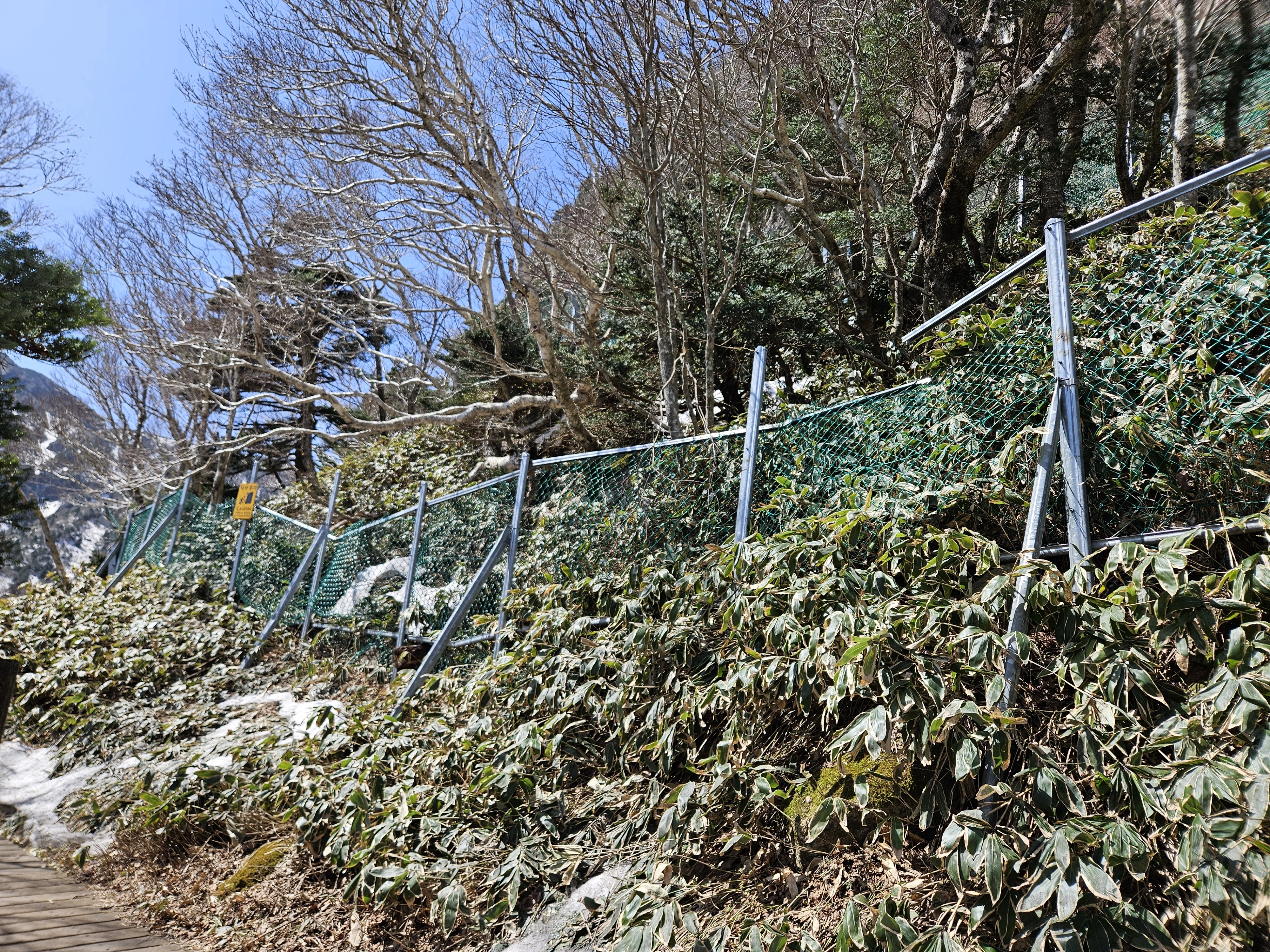 한라산 관음사 탐방로 삼각봉~정상 구간 보수공사를 위해 9월 15일부터 10월 31일까지 부분 통제된다. 제주도 제공