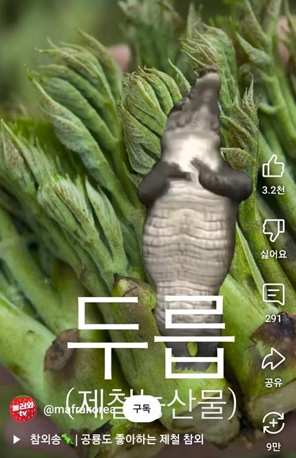 두릅 소개 영상. 농식품부 유튜브